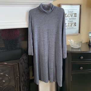 American Eagle turtleneck sweater dress